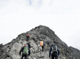 Unleash Your Potential: A Guide to Personal Development Courses
