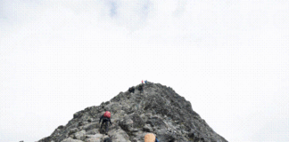 Unleash Your Potential: A Guide to Personal Development Courses