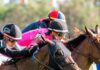 3 Inspiring Horse Racing Jockeys Who Overcame The Odds