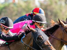 3 Inspiring Horse Racing Jockeys Who Overcame The Odds