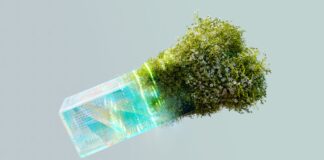 Creating a Compelling Brand Story for Your Climate Tech Company