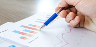 How Audience Data can be Used to its Full Potential Within Your Company