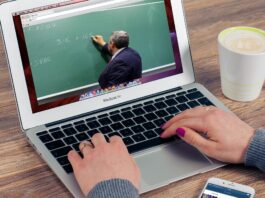 How Online Courses Can Help You Become an Expert in Your Field