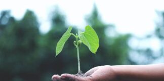 Top Startup Trends to Watch in 2022