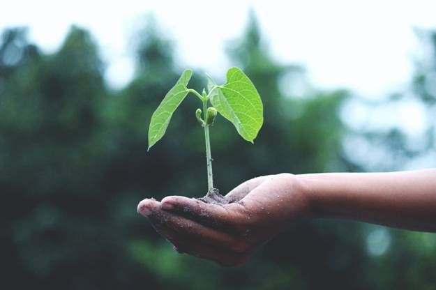 Top Startup Trends to Watch in 2022