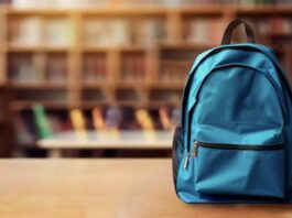 How to become a guru of college essay writing