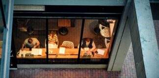 Working Overtime: Exploitation or Opportunity?