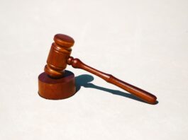 Studying Law: Is the Pain Worth the Effort?